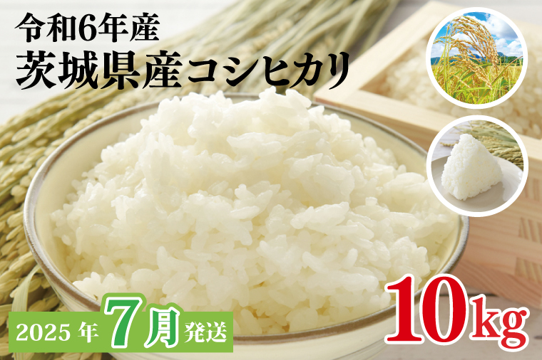 【2025年7月発送】★数量限定★令和6年 茨城県産コシヒカリ 10kg｜米 お米 こめ こしひかり コシヒカリ 数量限定 期間限定 令和6年産 茨城県産 行方市 人気 送料無料(CU-328)