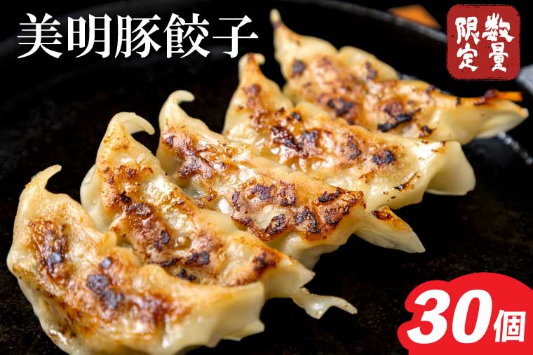 美明豚「びめいとん」のジューシー餃子 1パック(30個入り)｜餃子 ぎょうざ ギョウザ 美明豚 びめいとん 数量限定 肉 肉加工品 豚肉 お肉 ジューシー  茨城県 行方市(HJ-5)
