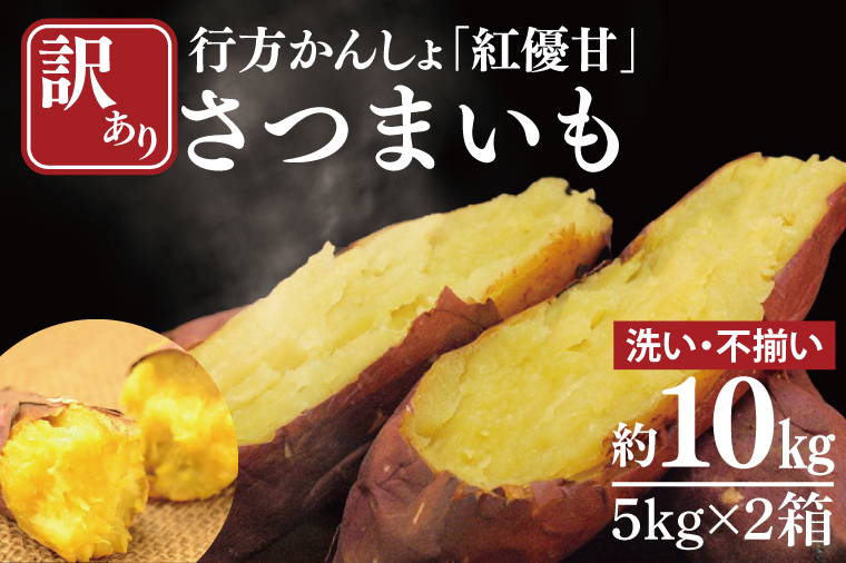 【訳あり】行方かんしょ「紅優甘」さつまいも約10kg(洗い・不揃い)｜さつまいも サツマイモ さつま芋 お芋 紅優甘 行方かんしょ 訳あり わけあり 訳アリ 茨城県 行方市(AE-95)
