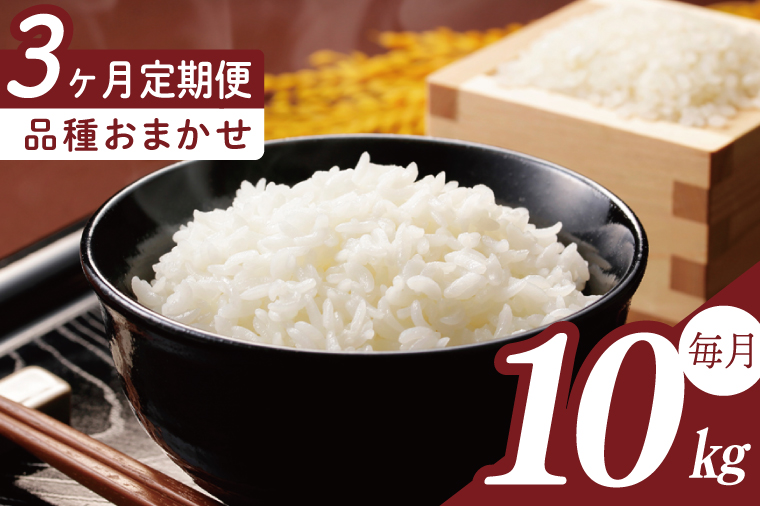 【2026年2月より順次発送】【3回定期便】R7年産米 品種おまかせ定期便 10kg｜米 お米 白米 精米 R7年産 令和7年産 こしひかり コシヒカリ ミルキークイーン にじのきらめき あきたこまち 定期便 おまかせ定期便 茨城県 茨城県産 行方市(HA-36)