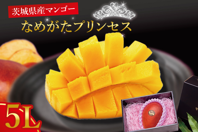 【2026年6月下旬より順次発送】★数量限定★マンゴー なめがたプリンセス 1玉(5L)｜マンゴー フルーツ 果物 くだもの 数量限定 先行予約 茨城県 行方市(EJ-2)