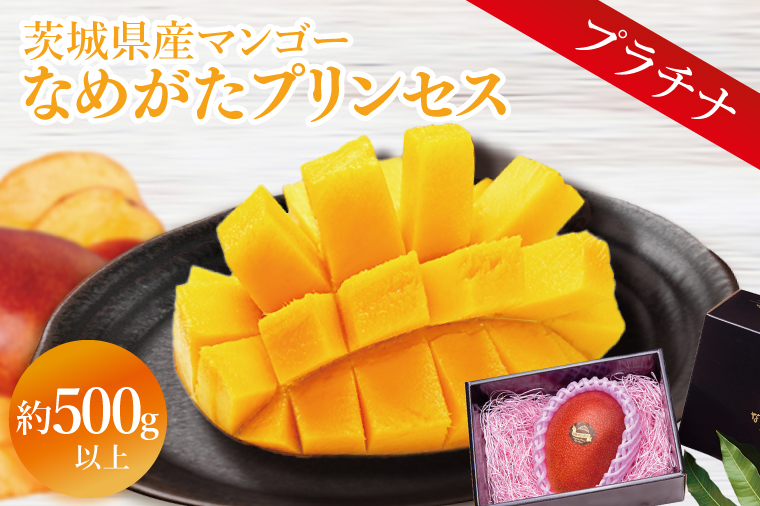 【2026年6月下旬より順次発送】★数量限定★マンゴー なめがたプリンセス プラチナ 1玉｜マンゴー フルーツ 果物 くだもの 数量限定 先行予約 茨城県 行方市(EJ-6)