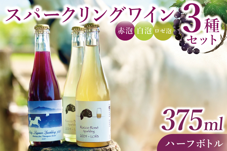 スパークリングワイン「泡3種セット」｜ワイン スパークリングワイン ボトルワイン 酒 お酒 酒類 ボトル ぶどう ブルーベリー ロゼ セット ワインセット 茨城県 行方市(GQ-6)