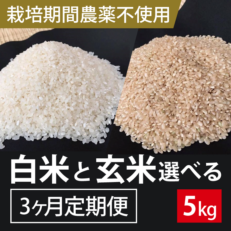 BI-63 3ヶ月定期便【栽培期間農薬不使用】白米 5kg×3回