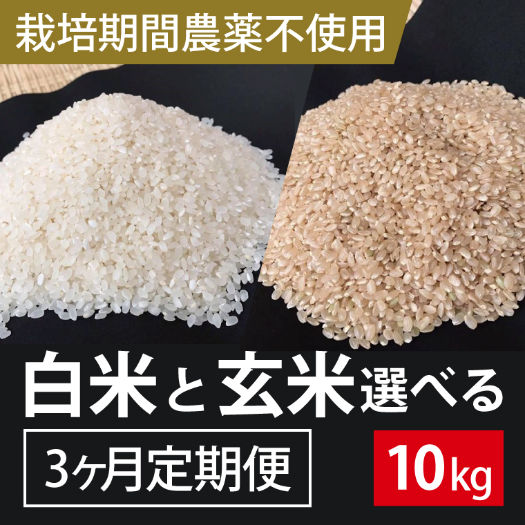 BI-67 3ヶ月定期便【栽培期間農薬不使用】白米 10kg×3回