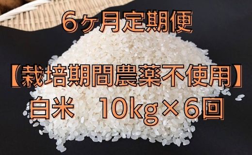 BI-69 6ヶ月定期便【栽培期間農薬不使用】白米 10kg×6回