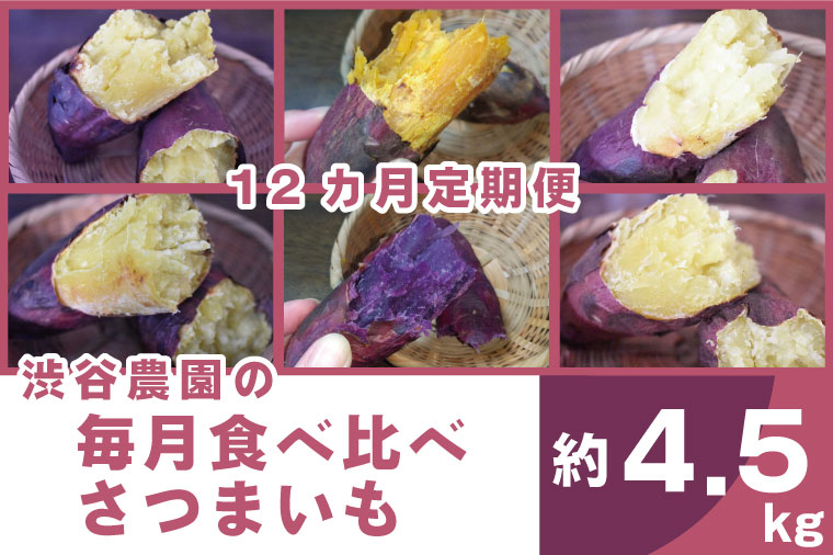 BZ-21 【12ヶ月定期便】渋谷農園の毎月食べ比べさつまいも 約4.5kg