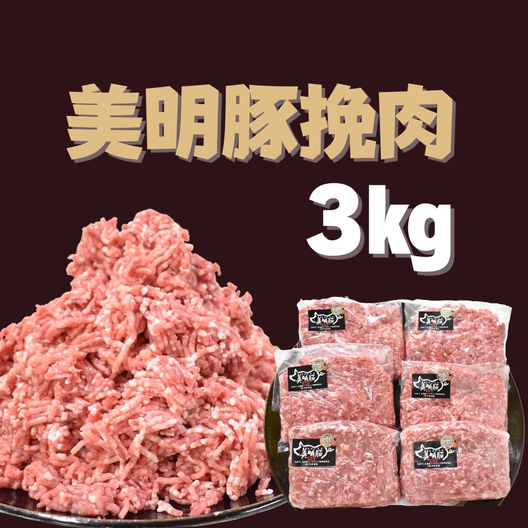 DH-4 【美明豚】挽肉（500g×6パック）