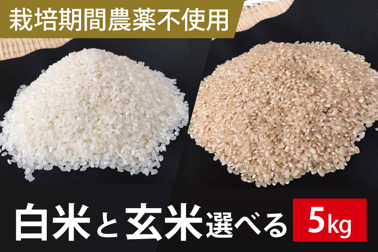 BI-59【栽培期間農薬不使用】白米 5kg