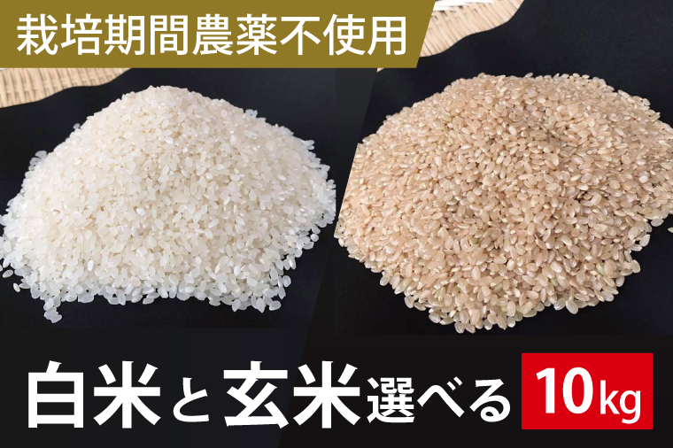 BI-61【栽培期間農薬不使用】白米 10kg
