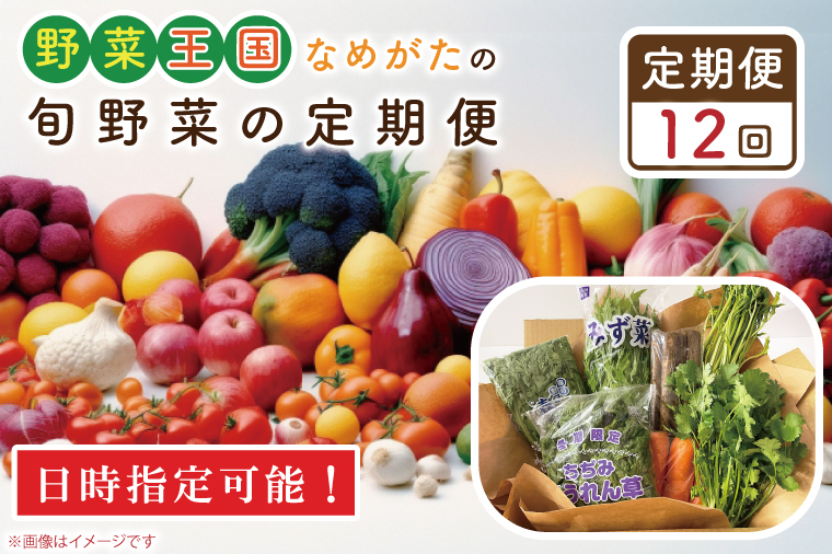 CU-130 【到着日指定可!!】【12ヶ月定期便】野菜王国なめがたの旬野菜の定期便