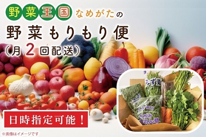 CU-139 【到着日指定可!!】野菜王国なめがたの野菜もりもり便（月２回発送）