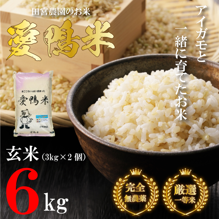 L-3 【新米】アイガモと一緒に育てたお米「愛鴨米・玄米」3kg×2