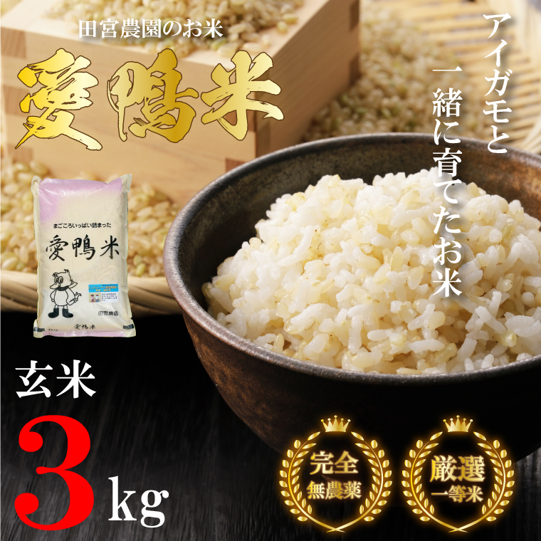 L-5【新米】 アイガモと一緒に育てたお米「愛鴨米・玄米」3kg
